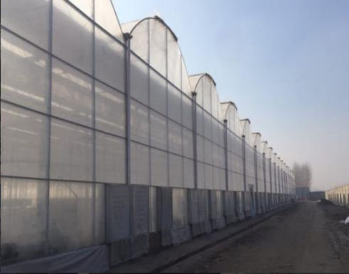 Uzbekistan Hydroponic Greenhouse