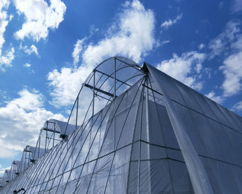 Uzbekistan Film Greenhouse