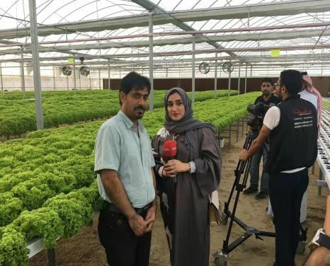 Saudi Arabia Compound Greenhouse