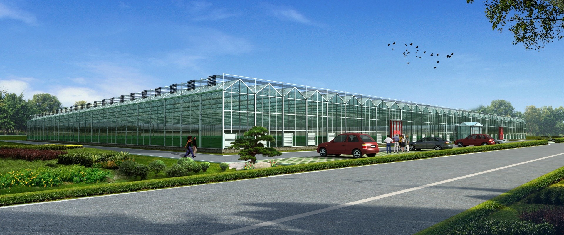 Kalite Çok Açıklıklı Sera Fabrika