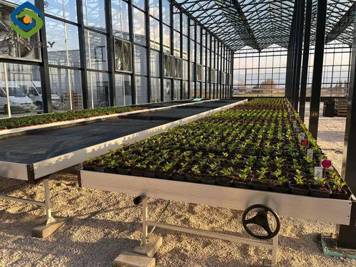Neueste Unternehmensnachrichten über Bulgarien Glasgewächshaus