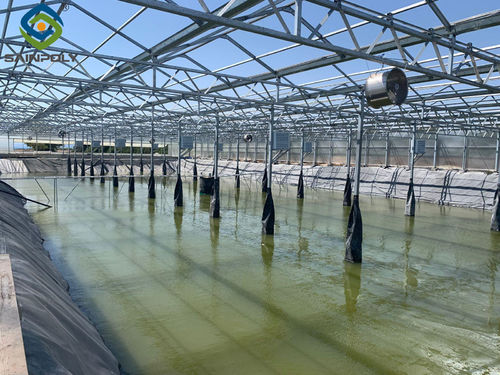Neueste Unternehmensnachrichten über Zypern Polycarbonat Gewächshaus