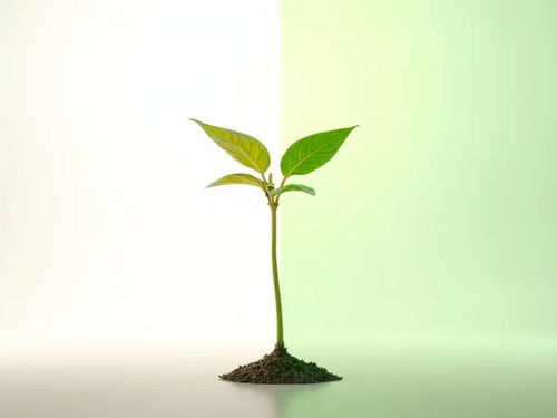 latest company blog about Greenhouse UV Protection Panels A Guide to Shielding Crops