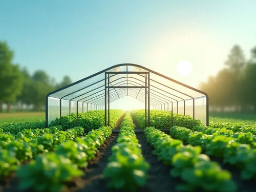 บริษัทล่าสุด บล็อกเกี่ยวกับ หนัง ที่ ใช้ ใน โรงเรือนกระจก ช่วย ป้องกัน พืช และ ควบคุม สภาพ อากาศ