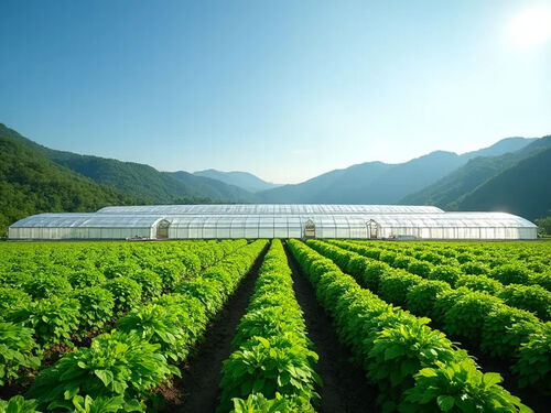 En son şirket Blog yazısı Cofeal tarafından özel seralar sürdürülebilir tarımı teşvik ediyor