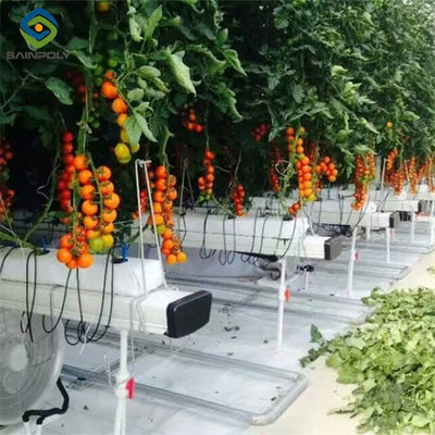 قیمت خوب سبزیجات در حال رشد Multispan گوجه فرنگی گلخانه سفارشی اندازه بزرگ آنلاین