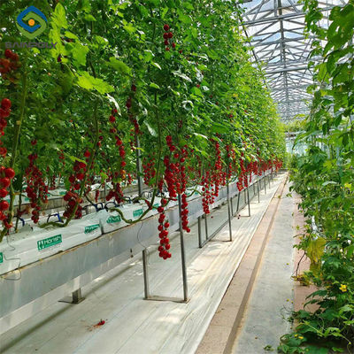Good price Greenhouse Hydroponics Gutter System With Grow Bags For Growing Tomato online