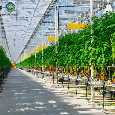 Giá tốt. Nông nghiệp Nhà kính đa chiều dài cho cây cà chua và trồng dưa chuột trực tuyến