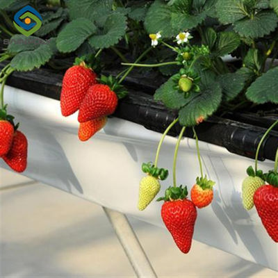 Un buon prezzo. Agricoltura Intelligente Fragola Green House PC Board Greenhouse Eco-friendly in linea
