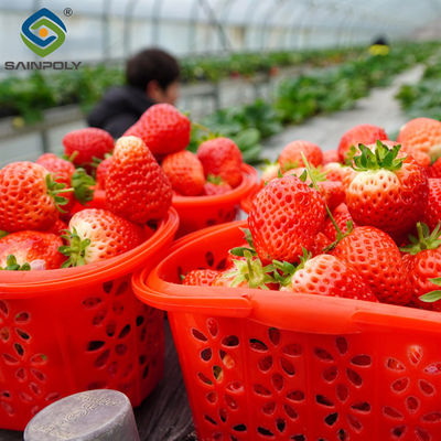 Un buen precio. Invernadero automático comercial de fresas Invernadero de película de múltiples estiramientos en línea