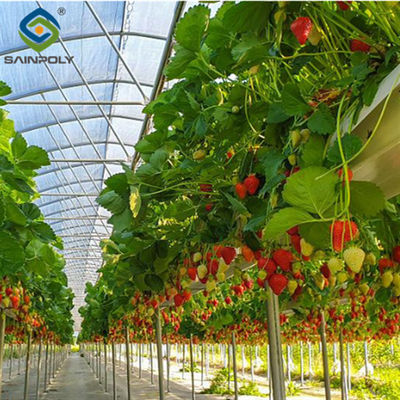 Harga yang bagus Single Span Komersial Greenhouse Kits Plastik Film Tunnel Greenhouse Struktur yang stabil on line