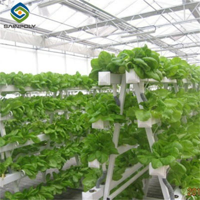 Giá tốt. Sainpoly Hydroponic Lettuce nhà kính đường hầm nhà kính tùy chỉnh trực tuyến