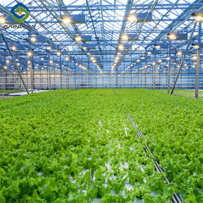 Bom preço. Estrutura estável de estufas hidropônicas verticais de grande tamanho facilmente montadas on-line