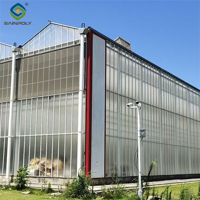 Giá tốt. Nông nghiệp Nhà kính loại polycarbonate Venlo cho trồng cà chua trực tuyến