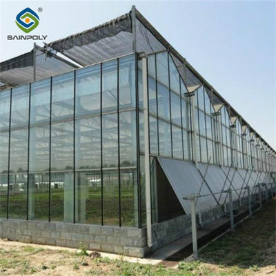 Harga yang bagus Custom Dutch Venlo Greenhouse Modern Farms Greenhouse Dengan Sistem Kontrol Cerdas on line