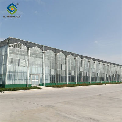 Harga yang bagus Kerangka baja Belanda Venlo Greenhouse Tempered Glass Greenhouse Untuk Menanam Tomat on line