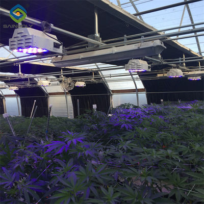 Bom preço. Estrutura galvanizada moderna Resistência ao vento de estufa on-line