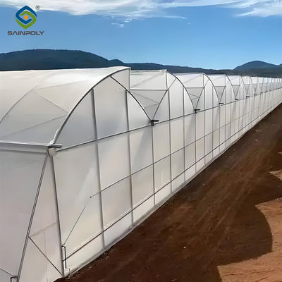 Good price Galvanized Steel Frame Greenhouse multi span greenhouse Film Covering Space Efficient online