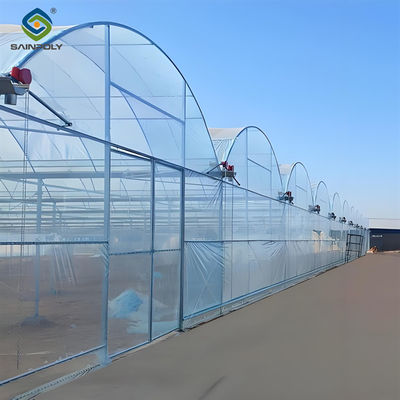 Giá tốt. Thép kẽm khung Multispan nhà kính 30-100m Chiều dài tùy chỉnh kích thước trực tuyến