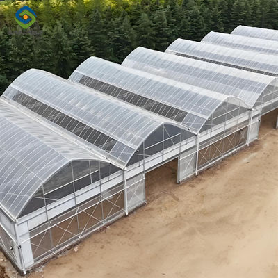 Good price OEM  Commercial Polycarbonate Greenhouse Kits Single Span Greenhouse Vegetable Seeding online
