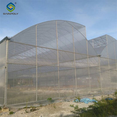 Un buen precio. Invernadero práctico Po Film gótico Invernadero agrícola multispan en línea