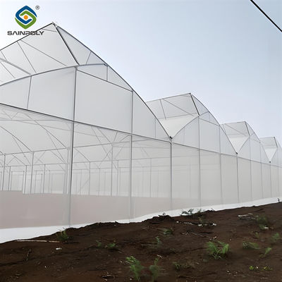 Un buen precio. Interiores de película de plástico de múltiples tiradas Invernadero de arco gótico con hoja de PC en línea