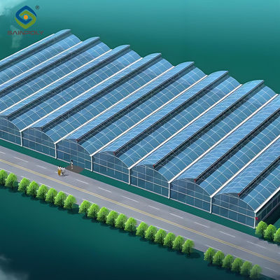 Un buon prezzo. OEM Gothic High Tunnel Greenhouse per piantare lattuga di fragole di pomodoro in linea