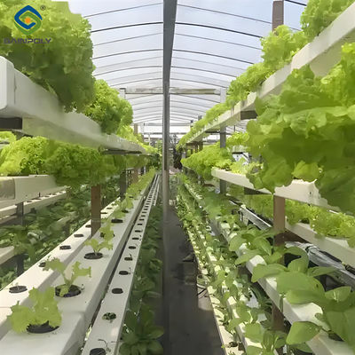 İyi bir fiyat. Özelleştirilebilir Tarımsal Seralar Aeroponics Lettuce Hidroponik Sistemi çevrimiçi