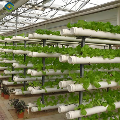Harga yang bagus Sistem Hydroponic Customization Rumah Kaca Dengan Bangku Rolling on line