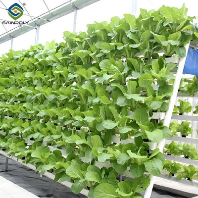 Giá tốt. Nhà kính trồng cà chua không đất với hệ thống trồng thủy sản Nft trực tuyến
