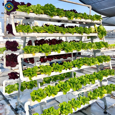 Un buen precio. SAINPOLY Agricultura Invernadero Hidroponía Invernadero Cuadro de acero resistente a la intemperie en línea