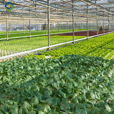 Good price Vegetable Fruits Growing Farm Hydroponic Greenhouse Vertical / Horizontal NFT online