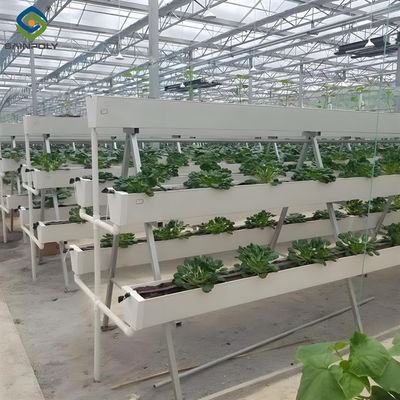 Good price Substrate Cultivation Outdoor Hydroponics Greenhouse Weather Resistance online