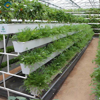 Giá tốt. NFT nông nghiệp Tăng trưởng dọc nhà kính không đất nhà kính đa dải trực tuyến