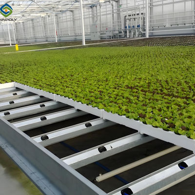 Καλή τιμή. Προσαρμοσμένο μέγεθος Lettuce Green House Εύκολη εγκατάσταση με συρόμενη / κυλιόμενη πόρτα σε απευθείας σύνδεση