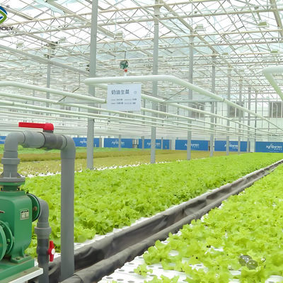 Good price Customization Commercial Plastic Film Greenhouse For Lettuce Planting online