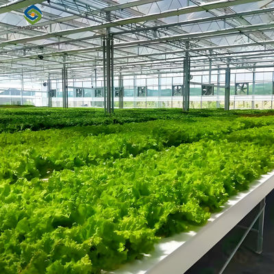 Giá tốt. Cỏ rau trồng rau thông minh nhà kính nông nghiệp nhà kính với khung thép trực tuyến