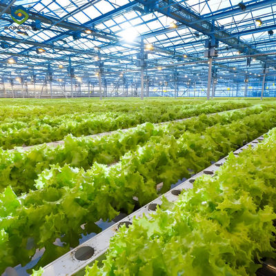 قیمت خوب کاشت کاهو کشاورزی هیدروپونیک گلخانه ای سیستم NFT درجه غذایی PVC آنلاین