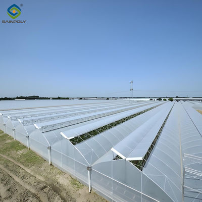 Goede prijs. Aanpasbare multi-span kasten voor het kweken van tomatenplanten online