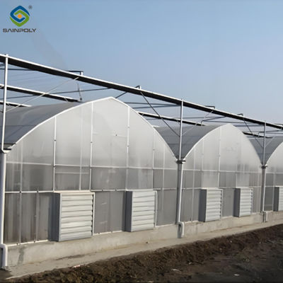 Giá tốt. Dễ lắp ráp Multi Span nhà kính để trồng rau và hoa trực tuyến
