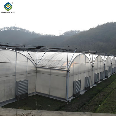 Giá tốt. Polycarbonate bao gồm nhà kính Multi Span với cấu trúc thép kẽm trực tuyến