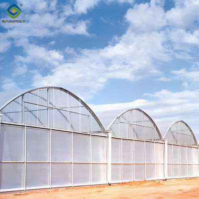 Giá tốt. 30m / 50m / 60m Chiều dài Thép nhựa thép nhà kính Multi Span nhà kính trực tuyến