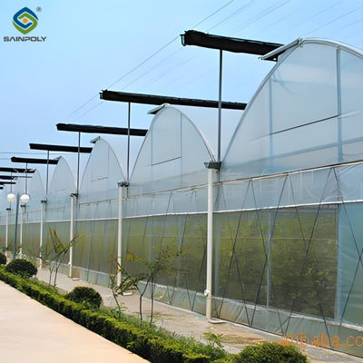 Harga yang bagus Sistem Pertanian Multi Span Poly Film Greenhouse Stable Hydroponic Growing on line