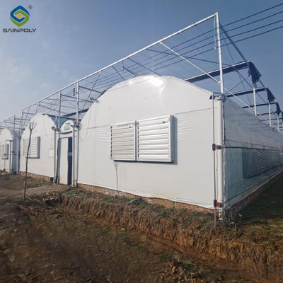 Giá tốt. Nhà kính trồng rau đa dải nhà kính đường hầm thương mại trực tuyến