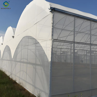 Goede prijs. Polycarbonaat paddenstoel verbouwen Groentehuis Multispan Landbouw Groentehuis verbouwen online