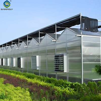 Good price Venlo Style Polycarbonate Farming Green House Customizable Size online
