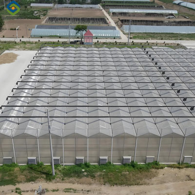 Harga yang bagus Ventilasi Otomatis Rumah Kaca Tipe Venlo Polycarbonate Rumah Kaca hemat energi on line