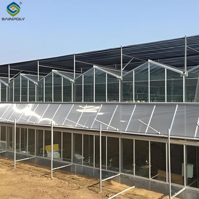 Goede prijs. Landbouw Venlo Groentehuis van commercieel glas Breedte 9,6 m Met hydroponisch systeem online