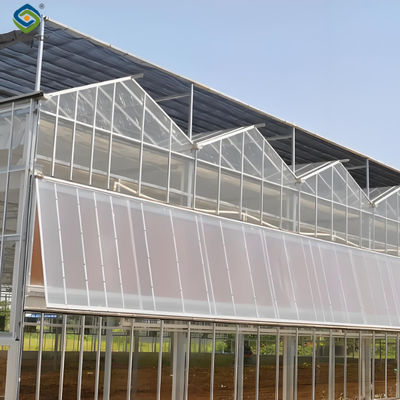 Harga yang bagus Smart Multi Span Venlo Glass Greenhouse Solar Photovoltaic Greenhouses Penanaman Buah on line