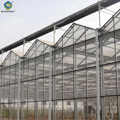 Giá tốt. Nhà kính Venlo hiện đại Nông nghiệp Nhà kính thủy tinh thương mại Với khung thép trực tuyến